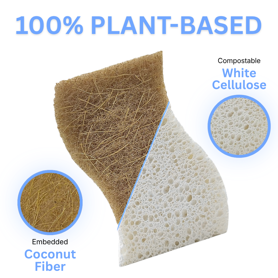 Coconut Scrubbing Sponge