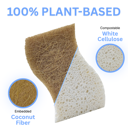 Coconut Scrubbing Sponge