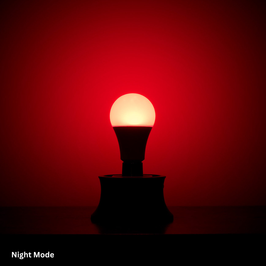 The Light Bulb