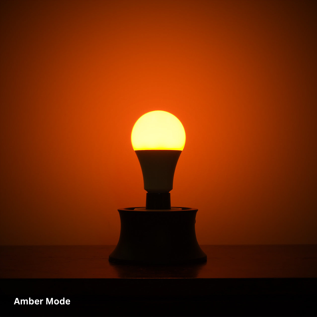 The Light Bulb