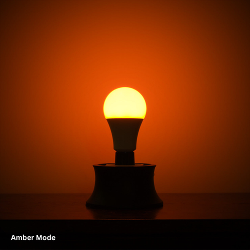 The Light Bulb