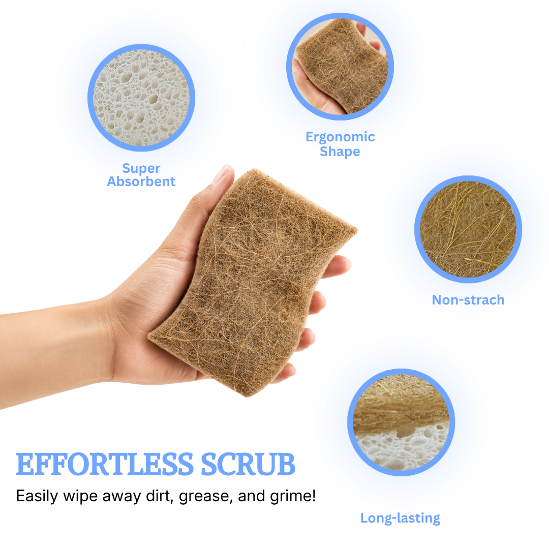 Coconut Scrubbing Sponge