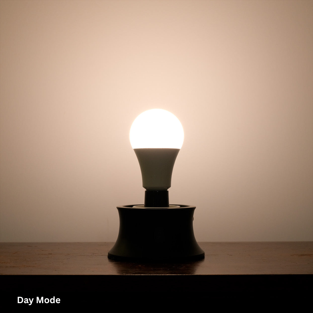 The Light Bulb