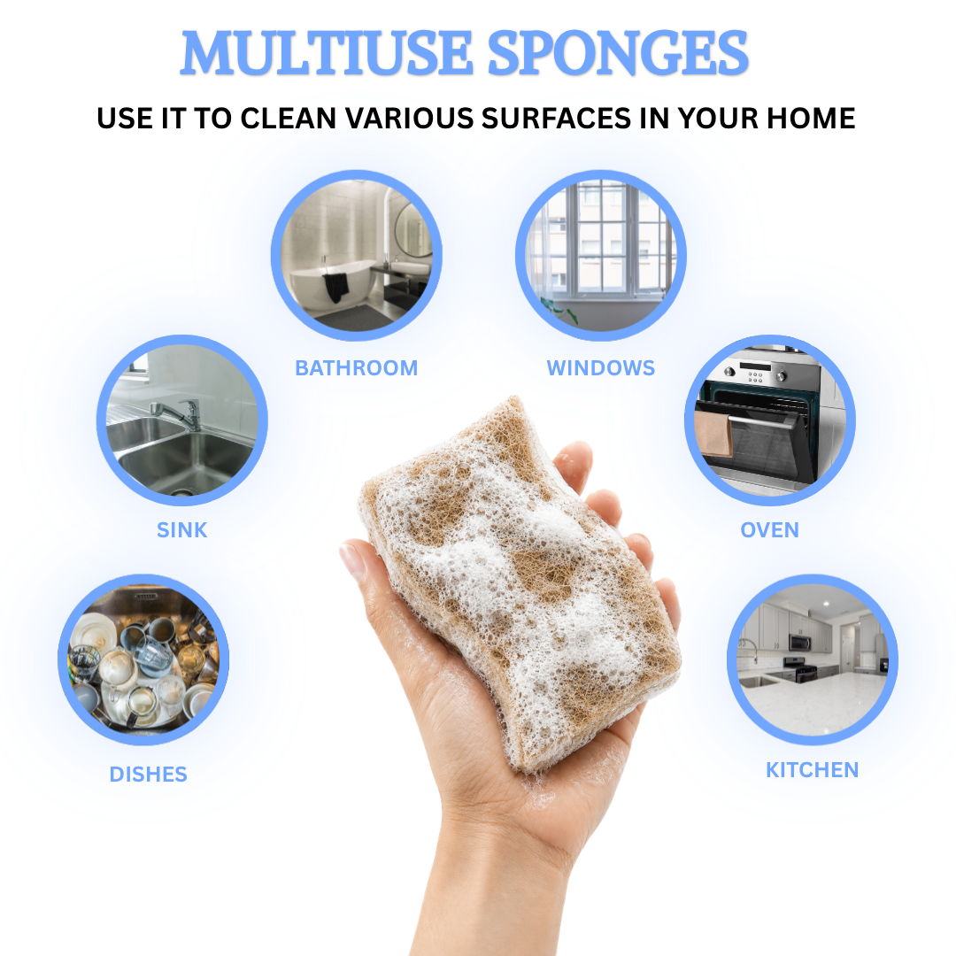 Coconut Scrubbing Sponge